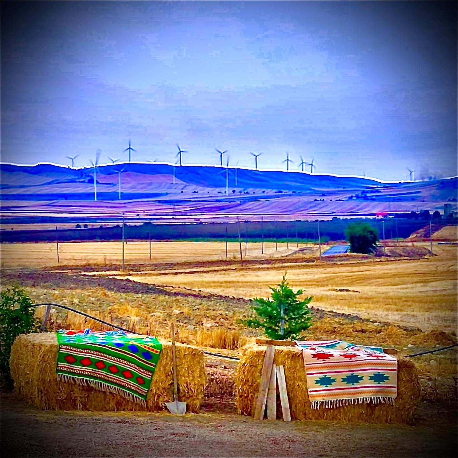 Antica Masseria Il Casone Candela Экстерьер фото